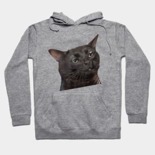 Tired Black Cat Meme Dissociated Funny Internet, Black cat zoning out Hoodie